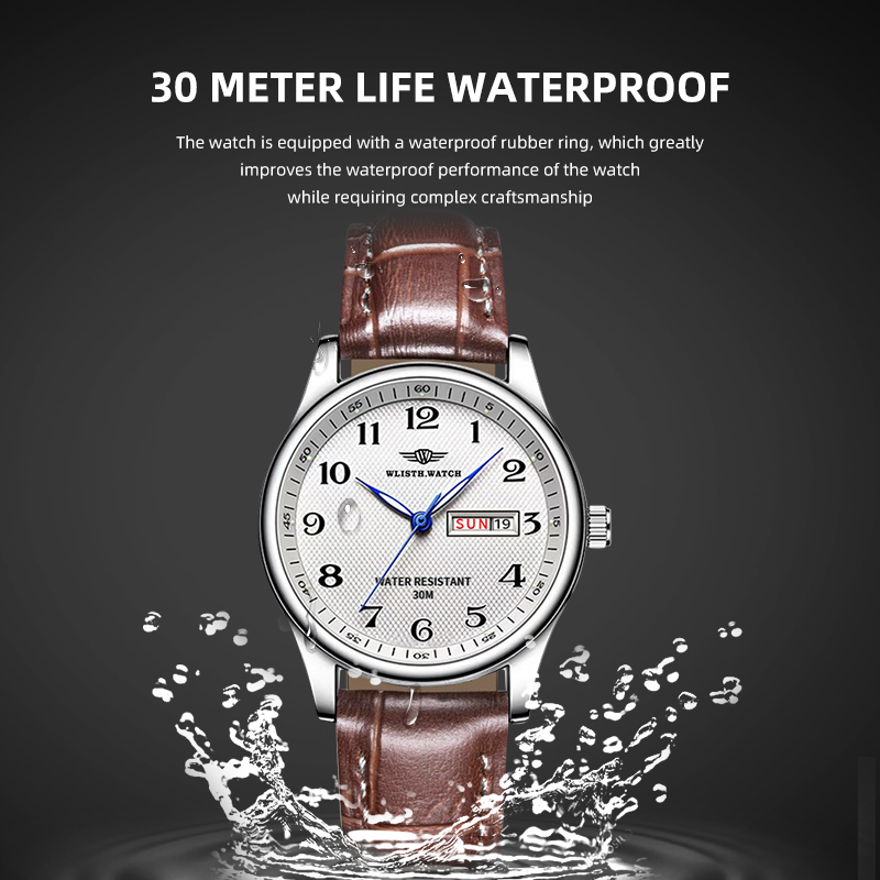 WLISTH Luxury Brand Men's Watc - огляд і ціна Luxury Watch Manufacturers