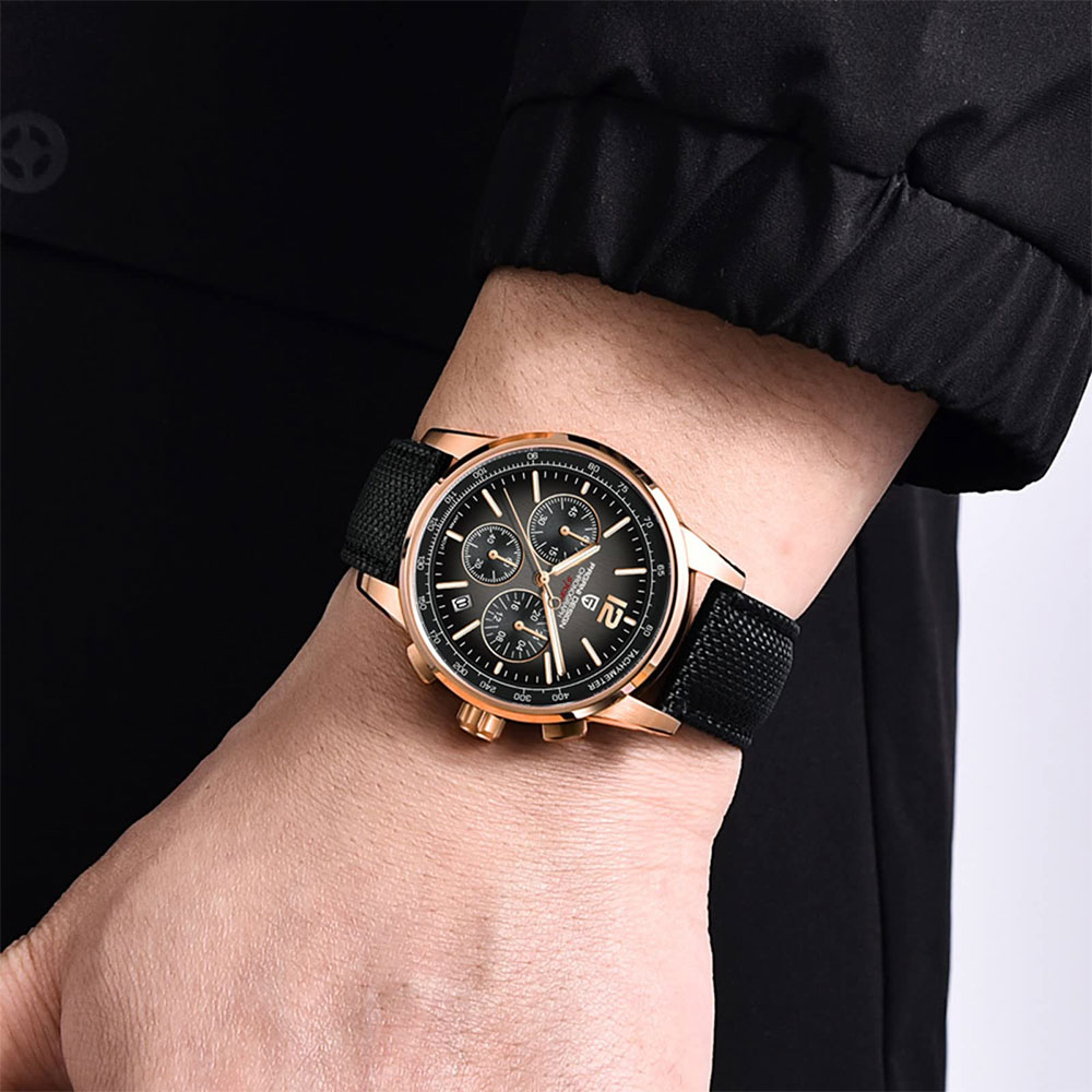PAGANI DESIGN New Mens Watch 4 - огляд і ціна Luxury Watch Manufacturers