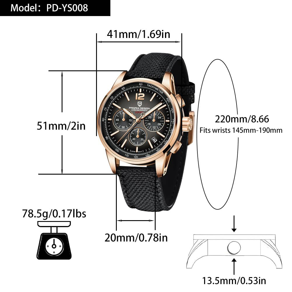 PAGANI DESIGN New Mens Watch 4 - огляд і ціна Luxury Watch Manufacturers