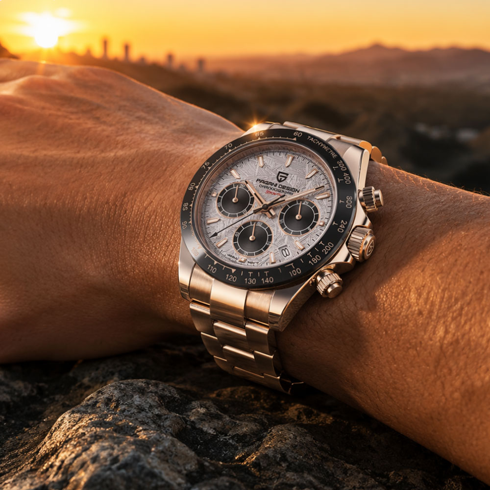 Top Brand PAGANI DESIGN Luxury - огляд і ціна Luxury Watch Manufacturers